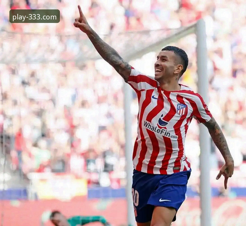 阿根廷新星重伤无缘世界杯：一次基于333体育平台视角的深度赛事分析报告