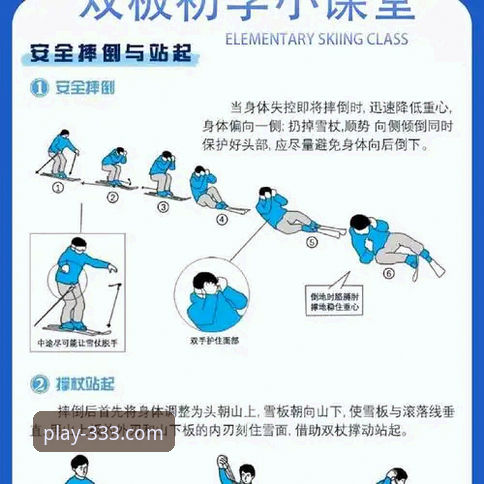 体育是正规平台吗 333体育平台正规性深度解析与使用教程